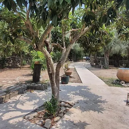 Holiday home Cheerful 3 Bedroom House With Open Fireplace Afissos